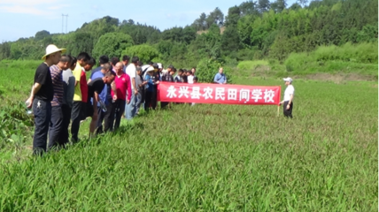 把農(nóng)技推廣服務辦在田間地頭——記永興縣農(nóng)業(yè)農(nóng)村局開展“學黨史為群眾辦實事”農(nóng)業(yè)技術(shù)推廣活動