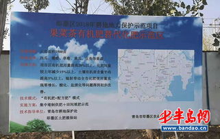 促進農(nóng)業(yè)綠色發(fā)展 青島市成熟農(nóng)業(yè)廢棄物綜合利用模式與技術(shù)推廣路徑