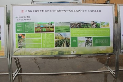 園藝學(xué)院春菜品種展示交流會(huì) 科技賦能農(nóng)業(yè)，創(chuàng)新引領(lǐng)未來