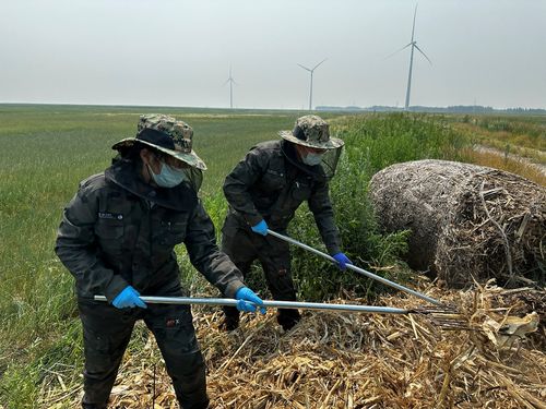 長在科技小院里的“小草” 農業技術推廣的微光與韌勁